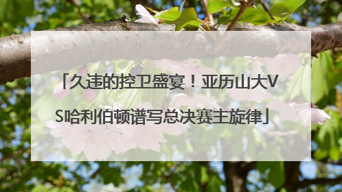 久违的控卫盛宴！亚历山大VS哈利伯顿谱写总决赛主旋律