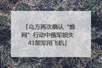 乌方再次确认“蛛网”行动中俄军损失41架军用飞机