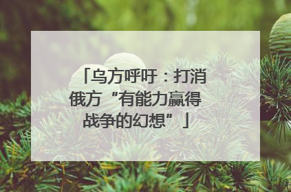 乌方呼吁：打消俄方“有能力赢得战争的幻想”