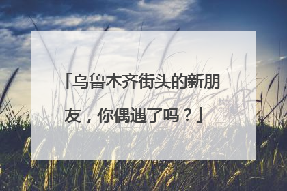 乌鲁木齐街头的新朋友，你偶遇了吗？