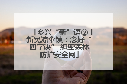 乡兴“新”语②丨新晃凉伞镇：念好“四字诀” 织密森林防护安全网