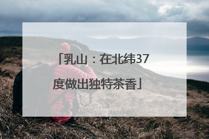 乳山：在北纬37度做出独特茶香