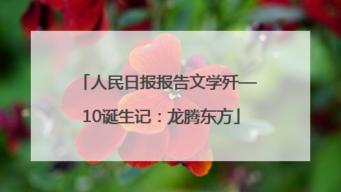 人民日报报告文学歼—10诞生记：龙腾东方