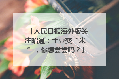 人民日报海外版关注昭通：土豆变“米”，你想尝尝吗？