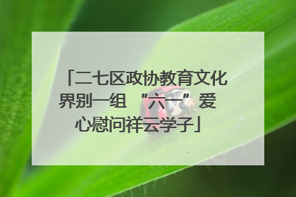二七区政协教育文化界别一组 “六一”爱心慰问祥云学子
