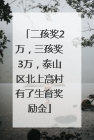 二孩奖2万，三孩奖3万，泰山区北上高村有了生育奖励金