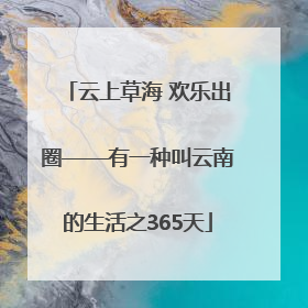 云上草海 欢乐出圈——有一种叫云南的生活之365天