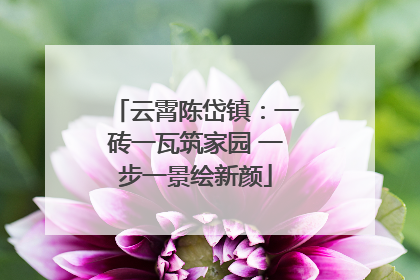 云霄陈岱镇：一砖一瓦筑家园 一步一景绘新颜