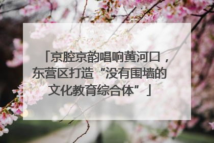 京腔京韵唱响黄河口，东营区打造“没有围墙的文化教育综合体”