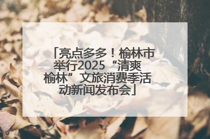 亮点多多！榆林市举行2025“清爽榆林”文旅消费季活动新闻发布会