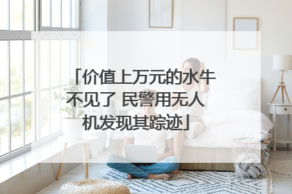 价值上万元的水牛不见了 民警用无人机发现其踪迹