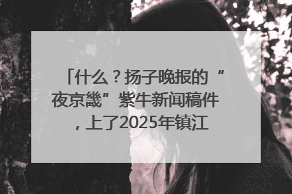 什么？扬子晚报的“夜京畿”紫牛新闻稿件，上了2025年镇江中考模拟卷！