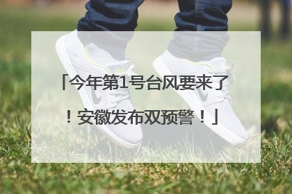 今年第1号台风要来了！安徽发布双预警！