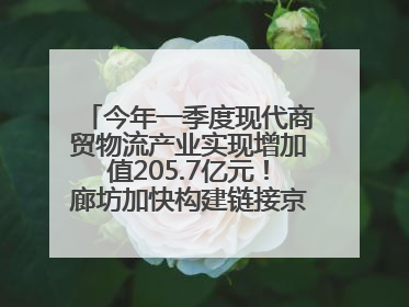 今年一季度现代商贸物流产业实现增加值205.7亿元！廊坊加快构建链接京津冀面向全世界的物流通道