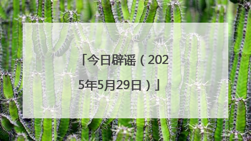 今日辟谣（2025年5月29日）