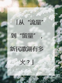 从“流量”到“留量”，新民歌湖有多火？