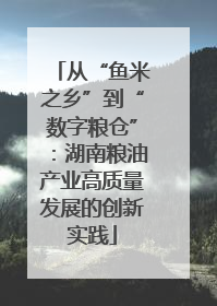 从“鱼米之乡”到“数字粮仓”：湖南粮油产业高质量发展的创新实践