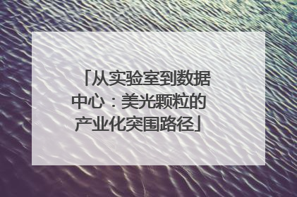 从实验室到数据中心：美光颗粒的产业化突围路径