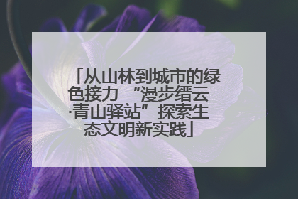 从山林到城市的绿色接力 “漫步缙云·青山驿站”探索生态文明新实践