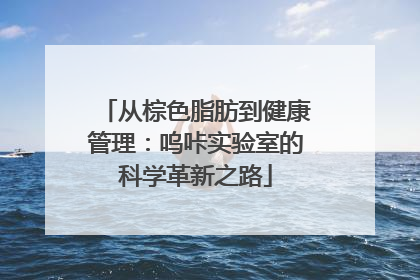 从棕色脂肪到健康管理：呜咔实验室的科学革新之路