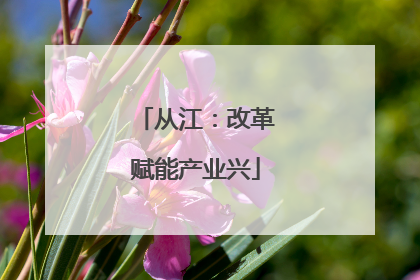 从江：改革赋能产业兴