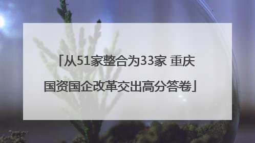 从51家整合为33家 重庆国资国企改革交出高分答卷