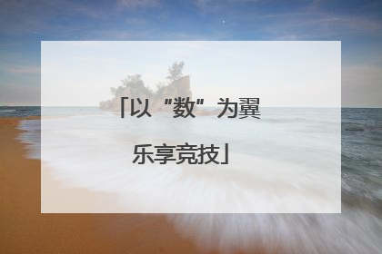 以“数”为翼 乐享竞技