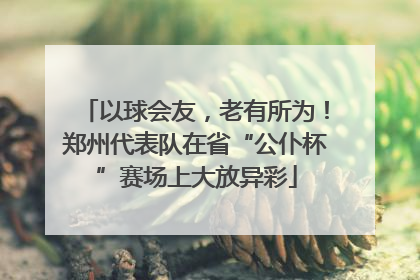 以球会友，老有所为！郑州代表队在省“公仆杯”赛场上大放异彩