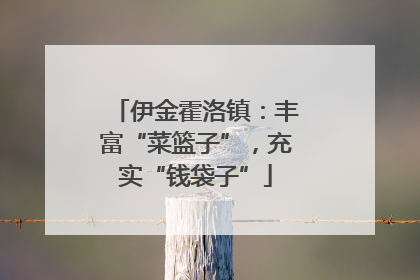 伊金霍洛镇：丰富“菜篮子”，充实“钱袋子”