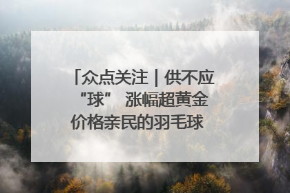 众点关注｜供不应“球” 涨幅超黄金 价格亲民的羽毛球为何身价飞涨？