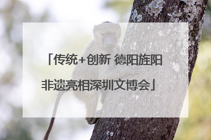 传统+创新 德阳旌阳非遗亮相深圳文博会