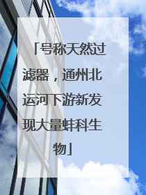 号称天然过滤器，通州北运河下游新发现大量蚌科生物