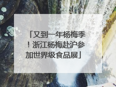 又到一年杨梅季！浙江杨梅赴沪参加世界级食品展