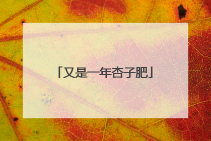 又是一年杏子肥