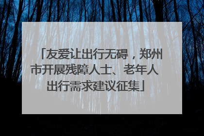友爱让出行无碍，郑州市开展残障人士、老年人出行需求建议征集