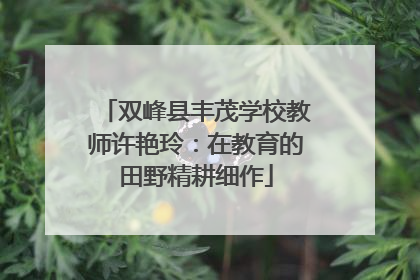 双峰县丰茂学校教师许艳玲：在教育的田野精耕细作