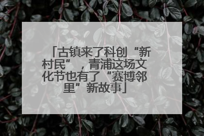 古镇来了科创“新村民”，青浦这场文化节也有了“赛博邻里”新故事