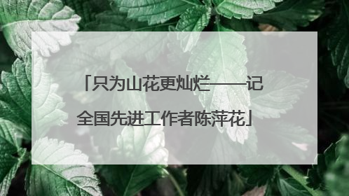 只为山花更灿烂——记全国先进工作者陈萍花