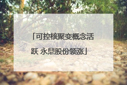 可控核聚变概念活跃 永鼎股份领涨