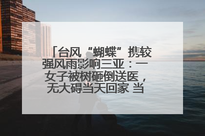 台风“蝴蝶”携较强风雨影响三亚：一女子被树砸倒送医，无大碍当天回家 当地已紧急清障