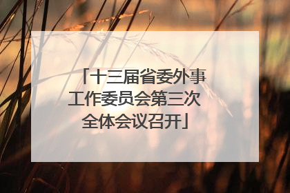 十三届省委外事工作委员会第三次全体会议召开