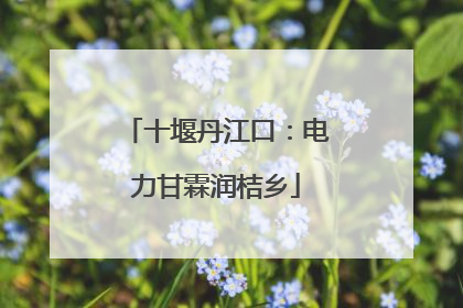 十堰丹江口：电力甘霖润桔乡