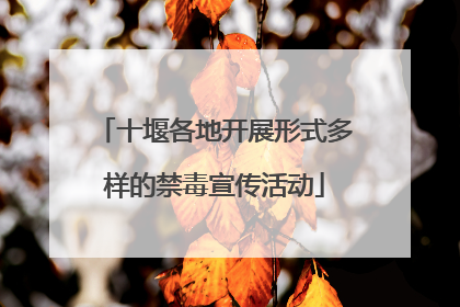 十堰各地开展形式多样的禁毒宣传活动