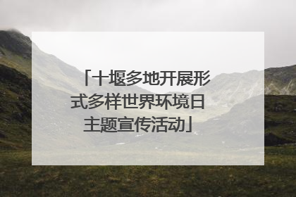 十堰多地开展形式多样世界环境日主题宣传活动