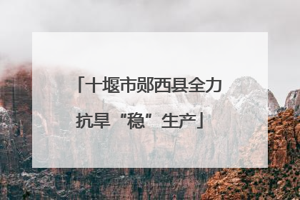 十堰市郧西县全力抗旱“稳”生产