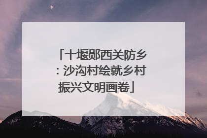 十堰郧西关防乡：沙沟村绘就乡村振兴文明画卷