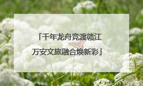 千年龙舟竞渡赣江 万安文旅融合焕新彩