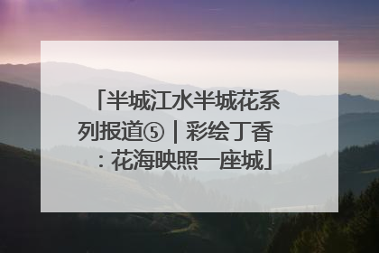 半城江水半城花系列报道⑤｜彩绘丁香：花海映照一座城