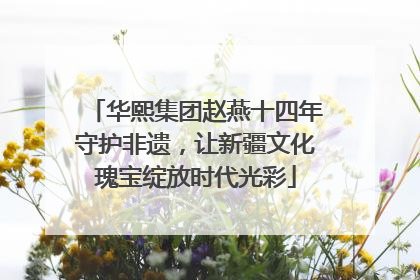 华熙集团赵燕十四年守护非遗，让新疆文化瑰宝绽放时代光彩