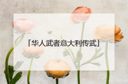 华人武者意大利传武